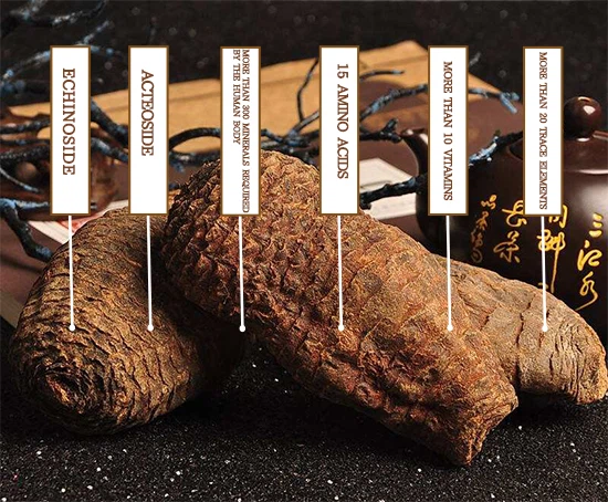 Main Chemical Constituents of Cistanche deserticola
