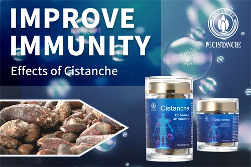 where to buy cistanche