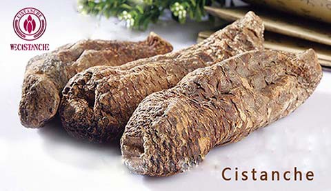Cistanche desertiloca constipation benefits