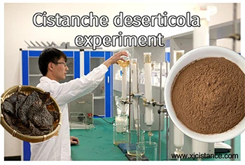 Cistanche deserticola experiment Cistanche deserticola experiment