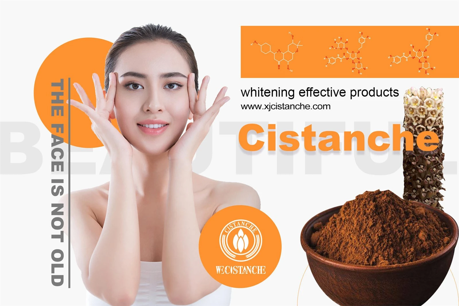 cistanche supplement review cistanche supplement review