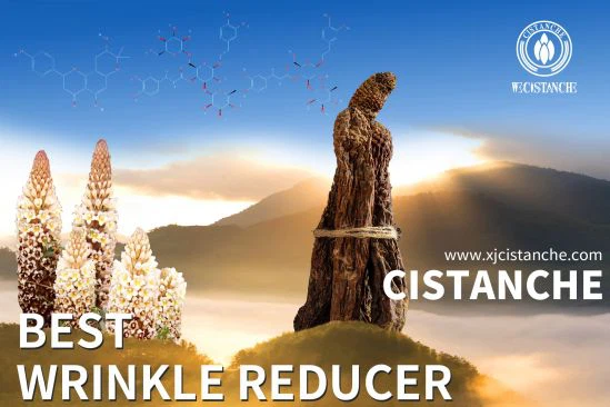 cistanche research on skin wrinkle cistanche research on skin wrinkle