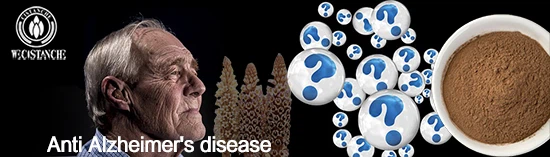 man-2546107_960_720 man-2546107_960_720