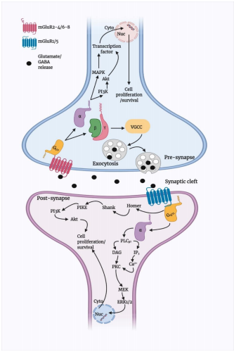 figure 1 figure 1