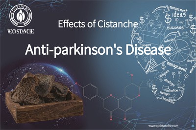 Cistanche benefits Cistanche benefits