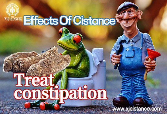 effects of cistance-treat constipation (2)