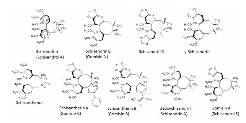 potent antioxidants of cistanche potent antioxidants of cistanche