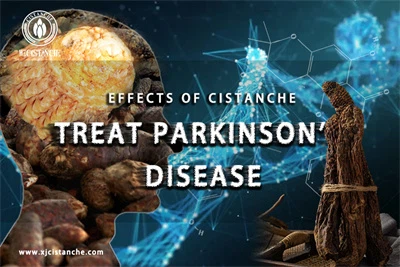 Cistanche benefits Cistanche benefits