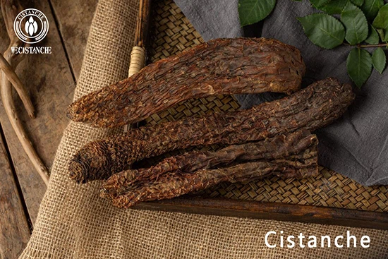 Cistanche deserticola