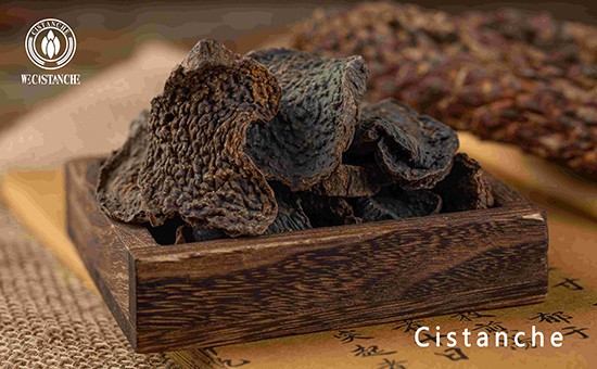 Cistanche deserticola slice (1)