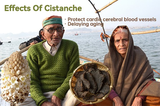 Protect cardio cerebral blood vessels Protect cardio cerebral blood vessels