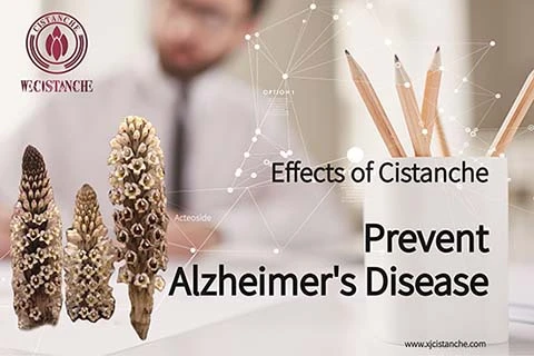 TCM to Anti Alzheimer's (9) TCM to Anti Alzheimer's (9)
