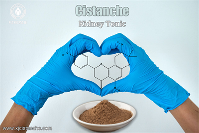 cistanche sold near me