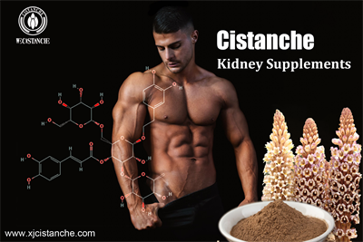 cistanche lost empire cistanche lost empire