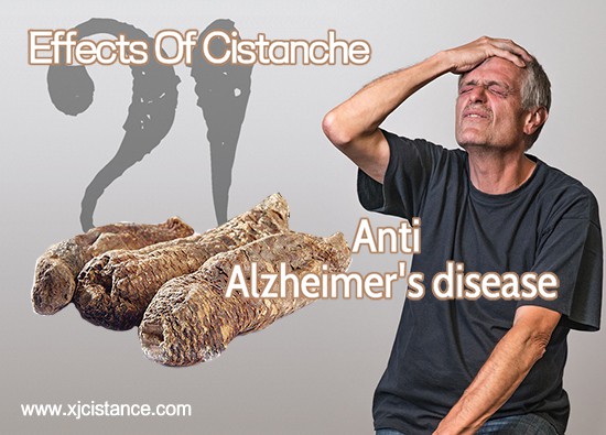 man-5989553_960_720 man-5989553_960_720