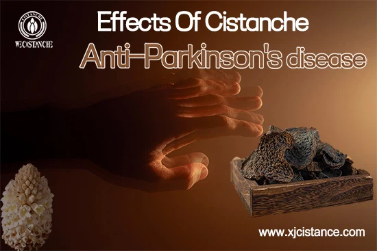 Anti-Parkinson's disease Anti-Parkinson's disease