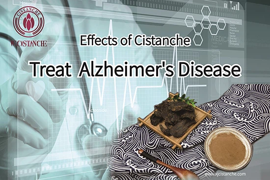 cistanche—prevent Alzheimer's disease (13)