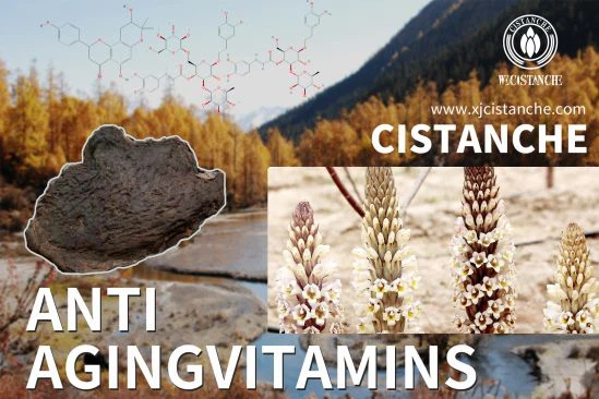 Cistanche anti-aging supplements