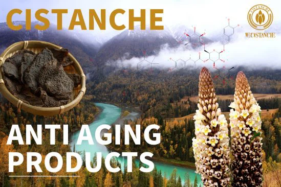 Cistanche anti-aging supplements