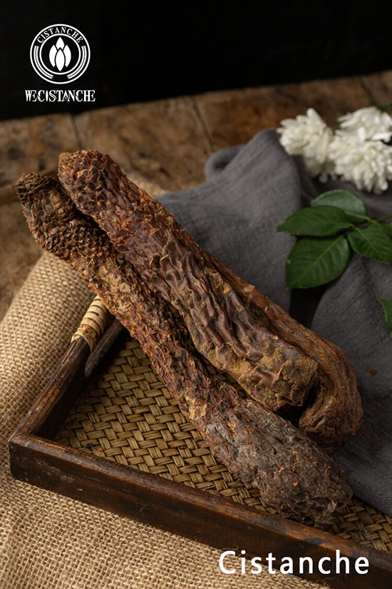 chinese herb cistanche