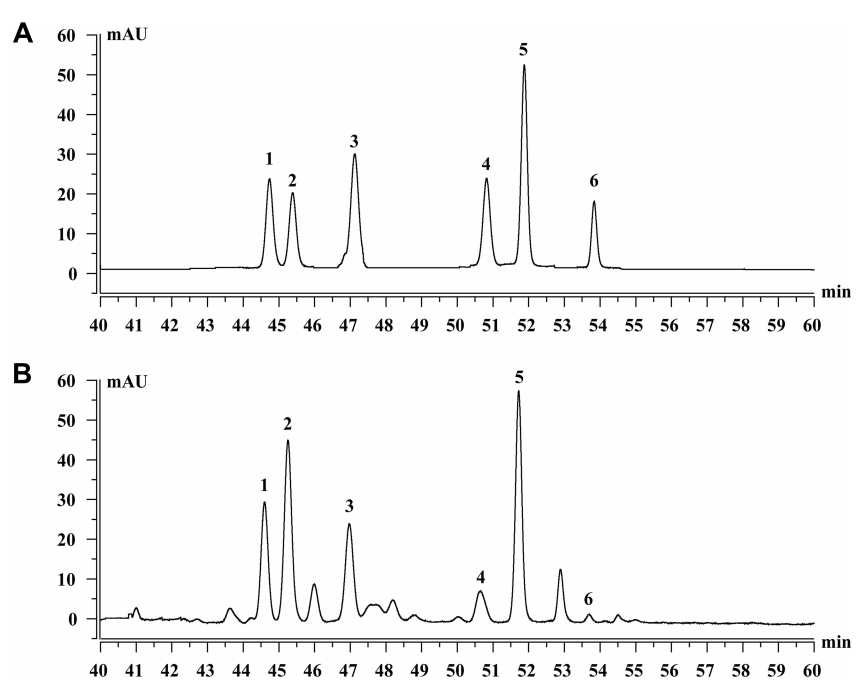 Cistanche Saponins Research Cistanche Saponins Research