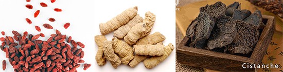 Chinese medicinal materials such as cistanche