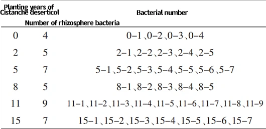 Table 1 Number and numbering of bacteria isolated from ginseng rhizosphere soil