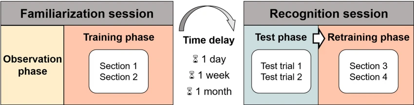 Fig. 2 Scheme of the procedure Fig. 2 Scheme of the procedure