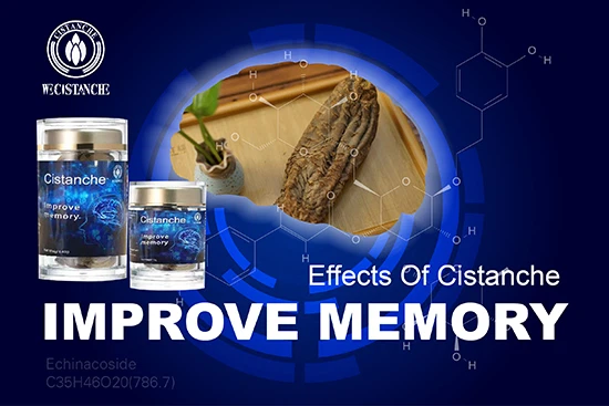 cistanche—Improve memory