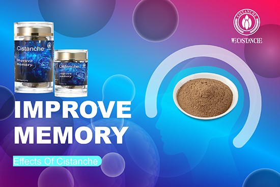 cistanche—Improve memory3