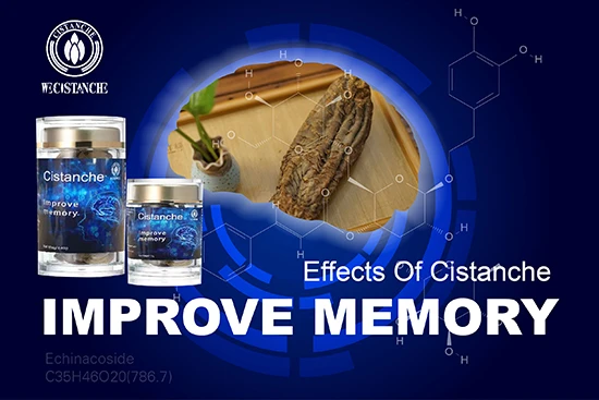 cistanche—Improve memory cistanche—Improve memory