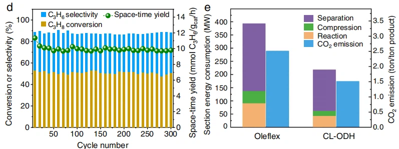 cistanche anti-oxidation research