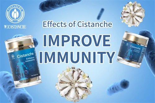 cistanche cvs cistanche cvs