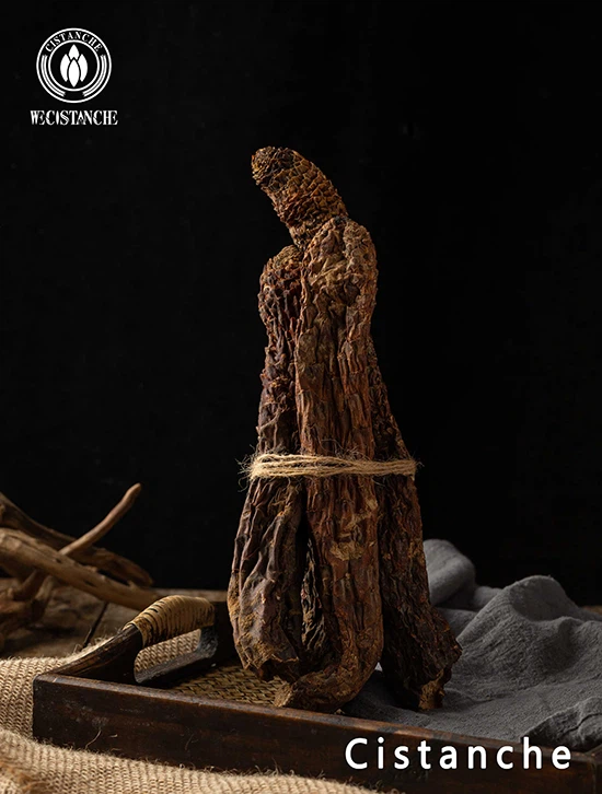 superman herbs cistanche