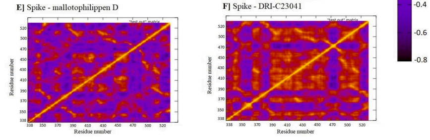 improve immunity cistanche