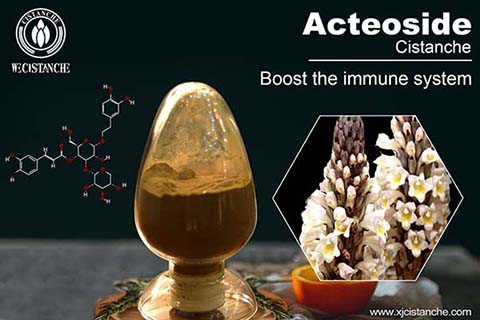 improve immunity cistanche