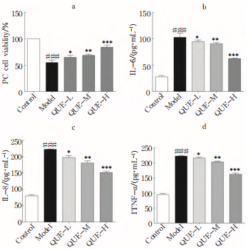 Fig.8 Validation of antioxidant activity at the cellular level