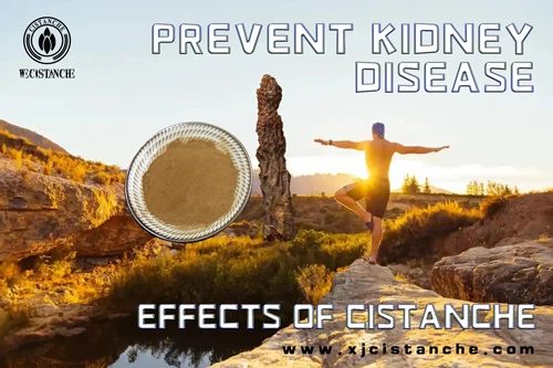 cistanche tubulosa side effects