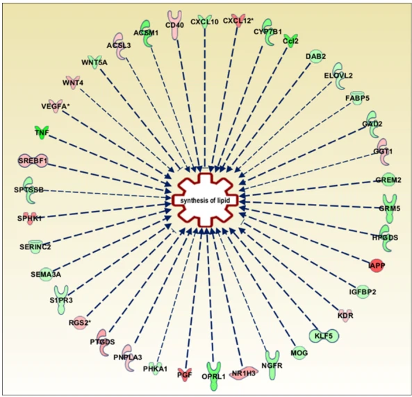 best herbs for bone growth
