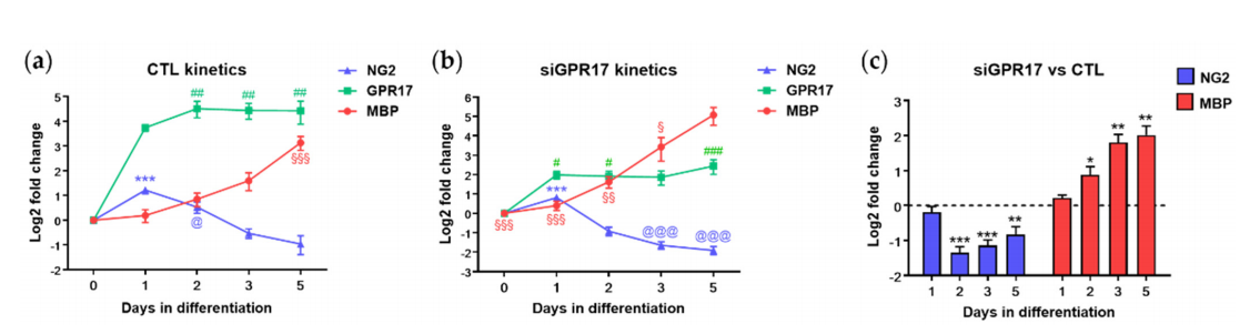 best herbs for bone growth