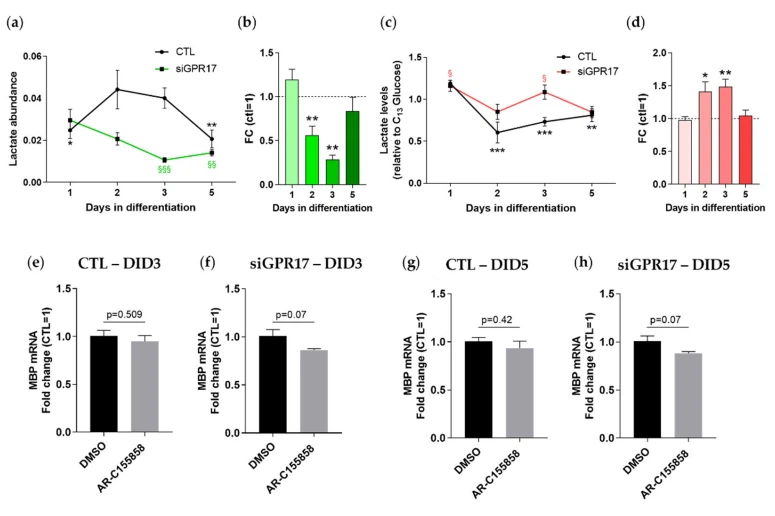 best herbs for bone growth