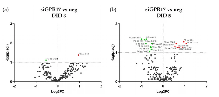 best herbs for bone growth