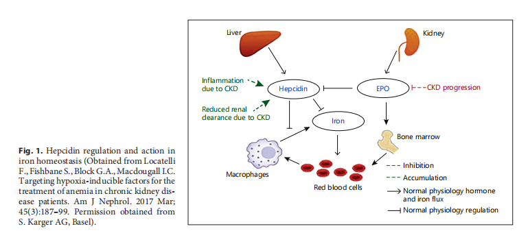 Figure 1 Figure 1
