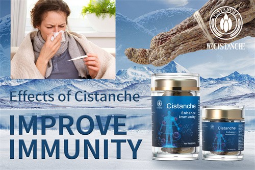cistanche capsules