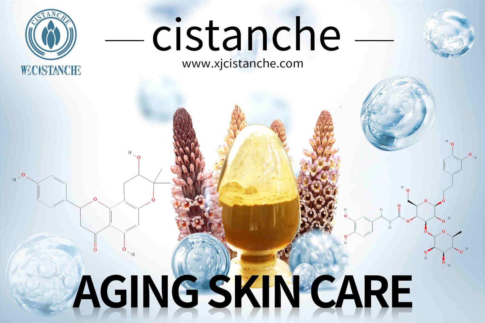 cistanche bienfaits cistanche bienfaits