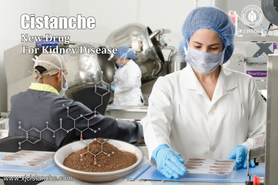 cistanche for ckd