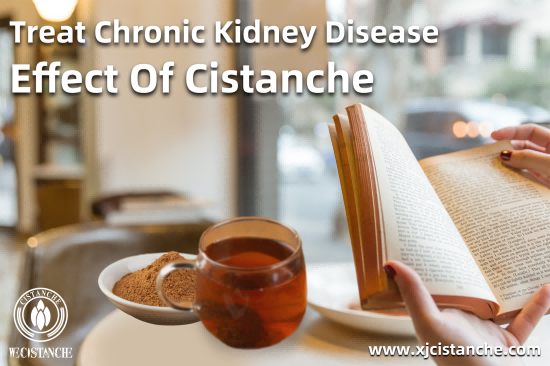 cistanche for ckd