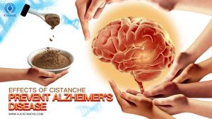 supplements to boost memory supplements to boost memory