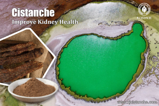 best herbs for ckd best herbs for ckd