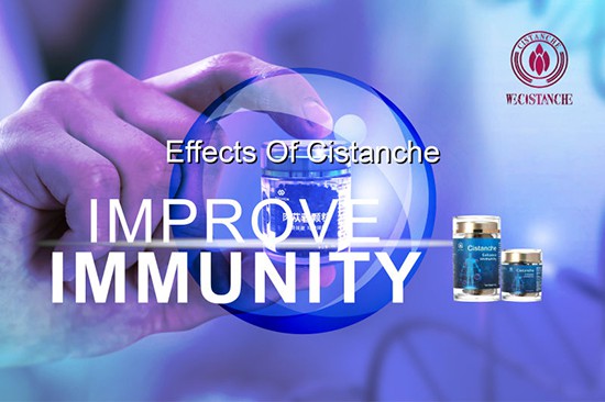 Cistanche deserticola—improve immunity
